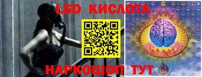 индика Усть-Джегута