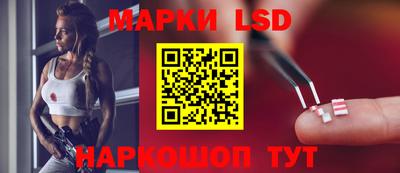 индика Усть-Джегута