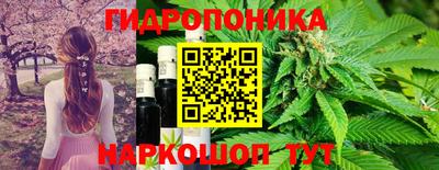 индика Усть-Джегута