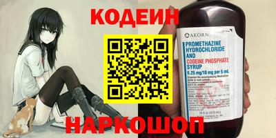 индика Усть-Джегута