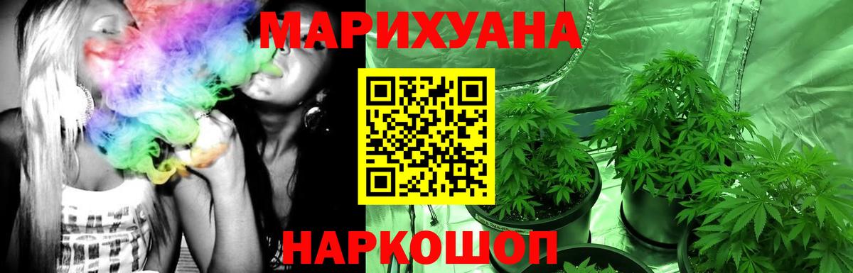 Бошки марихуана конопля Нальчик
